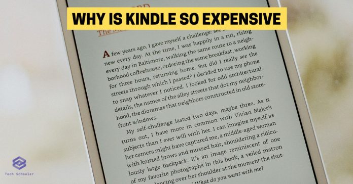 Why Is Kindle So Expensive